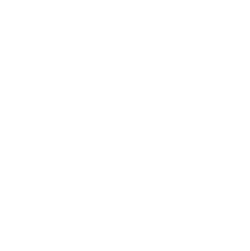 GEL Dansaert